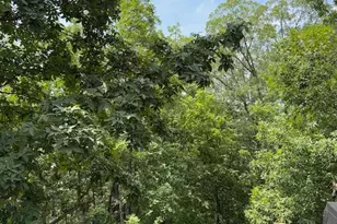 357 Pleasant Valley Dr, Lost City, WV 26810 - Photo 9