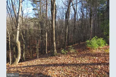 10 Cedarwood Drive Road, Mathias, WV 26812 - Photo 5