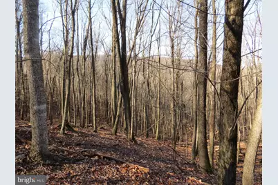 14A Cedarwood Drive Road, Mathias, WV 26812 - Photo 3