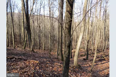 14A Cedarwood Drive Road, Mathias, WV 26812 - Photo 1