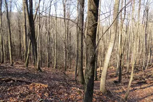 14A Cedarwood Dr Rd, Mathias, WV 26812 - Photo 1