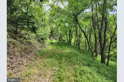 6836 State Road 55, Moorefield, WV 26836 - Photo 89