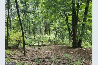 6836 State Road 55, Moorefield, WV 26836 - Photo 95