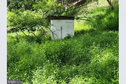 6836 State Road 55, Moorefield, WV 26836 - Photo 49