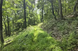 6836 State Road 55, Moorefield, WV 26836 - Photo 81