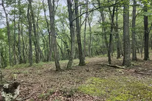 6836 State Road 55, Moorefield, WV 26836 - Photo 33