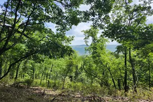 6836 State Road 55, Moorefield, WV 26836 - Photo 93