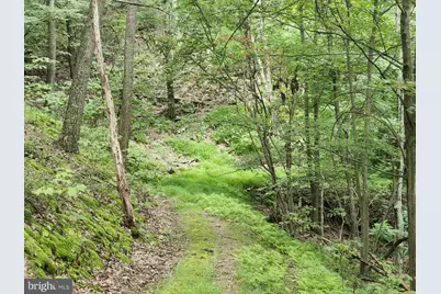 6836 State Road 55, Moorefield, WV 26836 - Photo 41