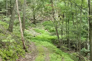 6836 State Road 55, Moorefield, WV 26836 - Photo 41