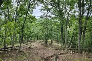 6836 State Road 55, Moorefield, WV 26836 - Photo 45