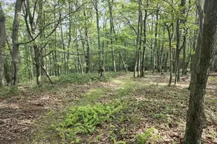 6836 State Road 55, Moorefield, WV 26836 - Photo 17