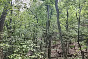 6836 State Road 55, Moorefield, WV 26836 - Photo 97