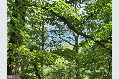 6836 State Road 55, Moorefield, WV 26836 - Photo 79