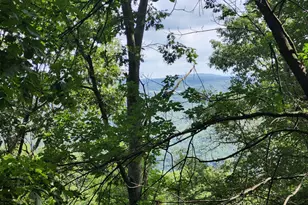 6836 State Road 55, Moorefield, WV 26836 - Photo 91