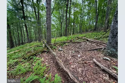 Lot 20 Wits End, Mathias, WV 26812 - Photo 7
