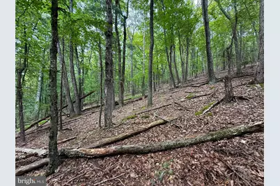Lot 18B Wits End, Mathias, WV 26812 - Photo 3