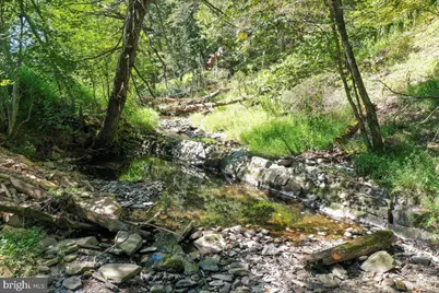 1956 Dove Hollow Road, Mathias, WV 26812 - Photo 53