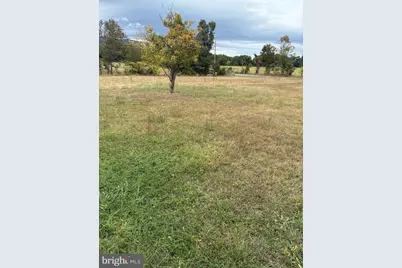 1667 J. C. Markwood Road, Purgitsville, WV 26845 - Photo 39