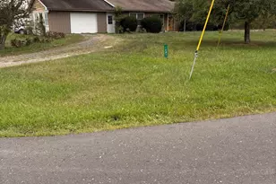 1667 J C Markwood Rd, Purgitsville, WV 26845 - Photo 41