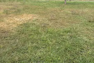 1667 J C Markwood Rd, Purgitsville, WV 26845 - Photo 37