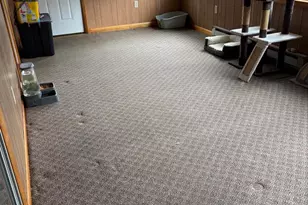 1667 J C Markwood Rd, Purgitsville, WV 26845 - Photo 13