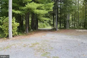 2868 Trout Run Rd, Wardensville, WV 26851 - Photo 43