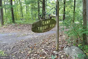 2868 Trout Run Rd, Wardensville, WV 26851 - Photo 3