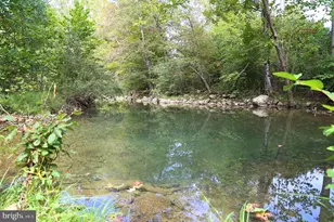 2868 Trout Run Rd, Wardensville, WV 26851 - Photo 5