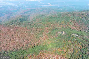 1239 Top Of The Mountain, Rio, WV 26755 - Photo 101