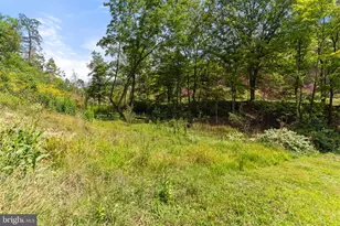 2192 Howards Lick Rd, Mathias, WV 26812 - Photo 37