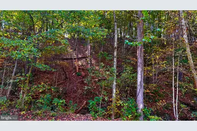 412 Shoemaker Road, Mathias, WV 26812 - Photo 7