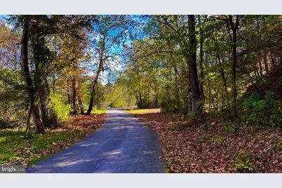 412 Shoemaker Road, Mathias, WV 26812 - Photo 3