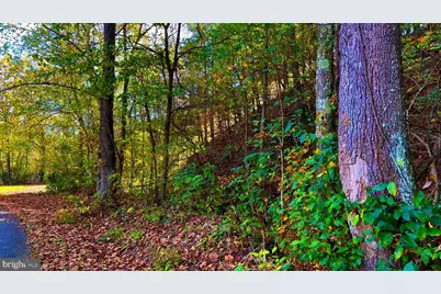 412 Shoemaker Road, Mathias, WV 26812 - Photo 5