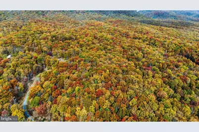 Lot 46 and 48 White Oak Pass, Mathias, WV 26812 - Photo 23