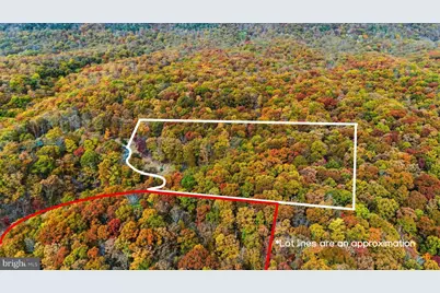 Lot 46 and 48 White Oak Pass, Mathias, WV 26812 - Photo 5
