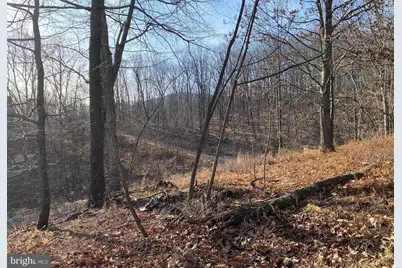Lot 46 and 48 White Oak Pass, Mathias, WV 26812 - Photo 33