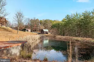 594 S Branch Mountain Rd, Moorefield, WV 26836 - Photo 69