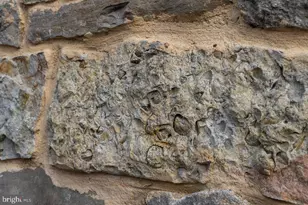 800 Cove Mountain Rd, Mathias, WV 26812 - Photo 75