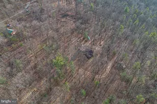 800 Cove Mountain Rd, Mathias, WV 26812 - Photo 87