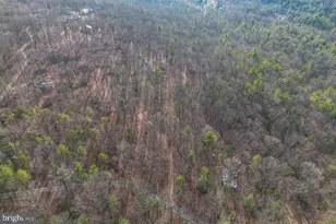 800 Cove Mountain Rd, Mathias, WV 26812 - Photo 85