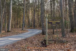 800 Cove Mountain Rd, Mathias, WV 26812 - Photo 67