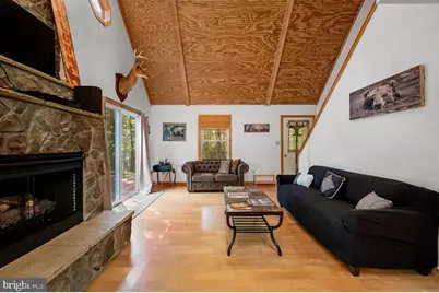 393 Timber Run Rd, Mathias, WV 26812 - Photo 9