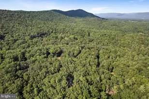 393 Timber Run Rd, Mathias, WV 26812 - Photo 29