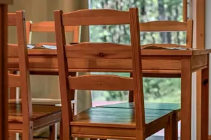 393 Timber Run Rd, Mathias, WV 26812 - Photo 15