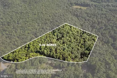 393 Timber Run Rd, Mathias, WV 26812 - Photo 5