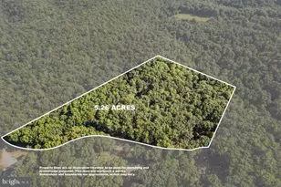 393 Timber Run Rd, Mathias, WV 26812 - Photo 5