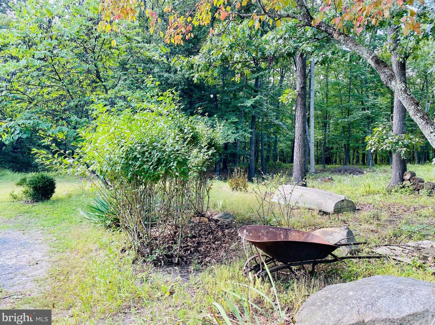 816 White Pne Ln, Capon Bridge WV 26711 exterior