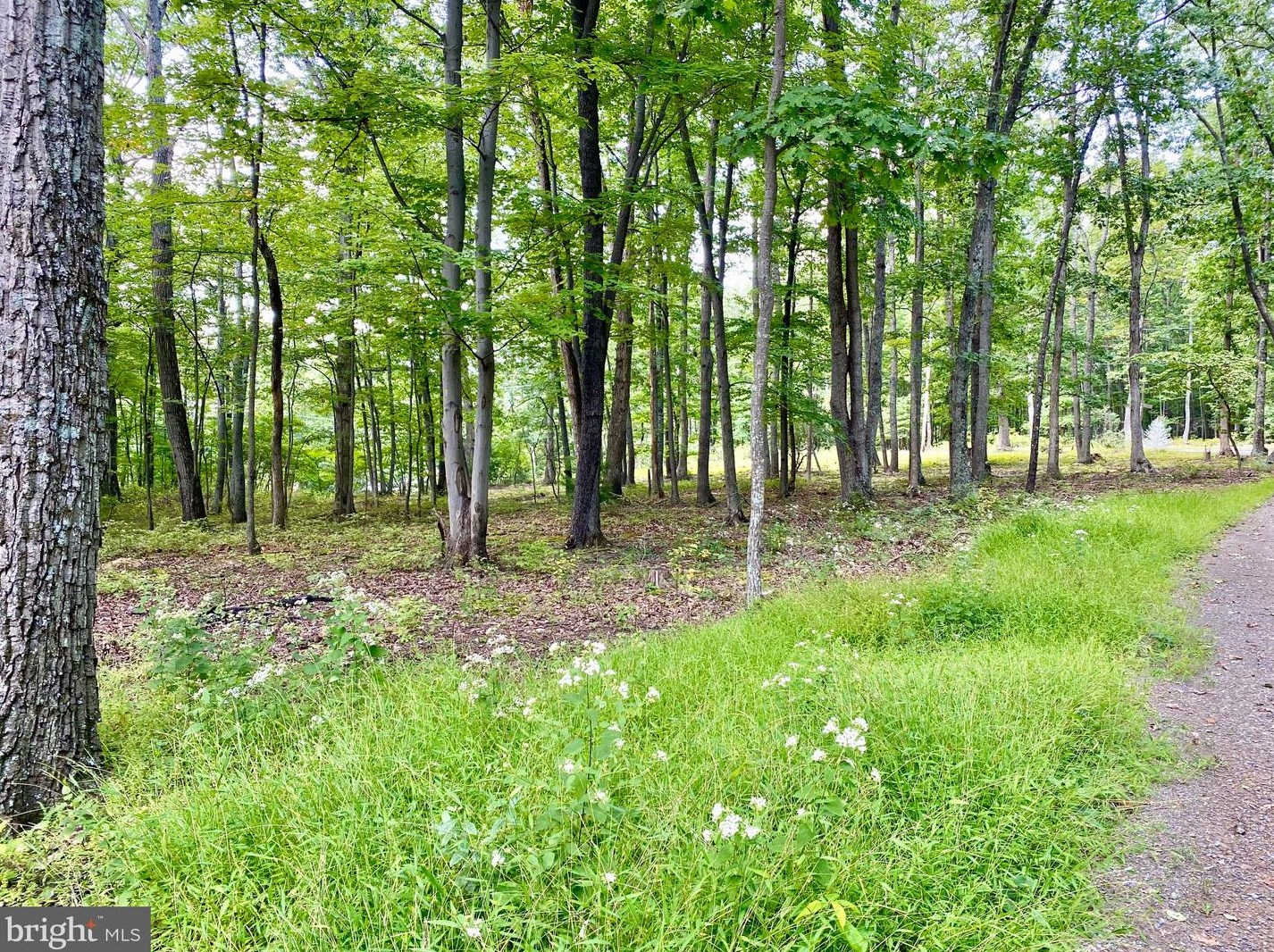 816 White Pne Ln, Capon Bridge WV 26711 exterior