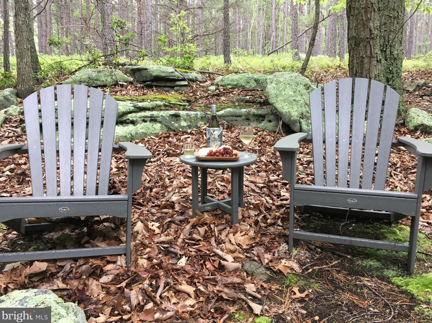 1002 Butternut Dr, Yellow Spring WV  26865-9042 exterior