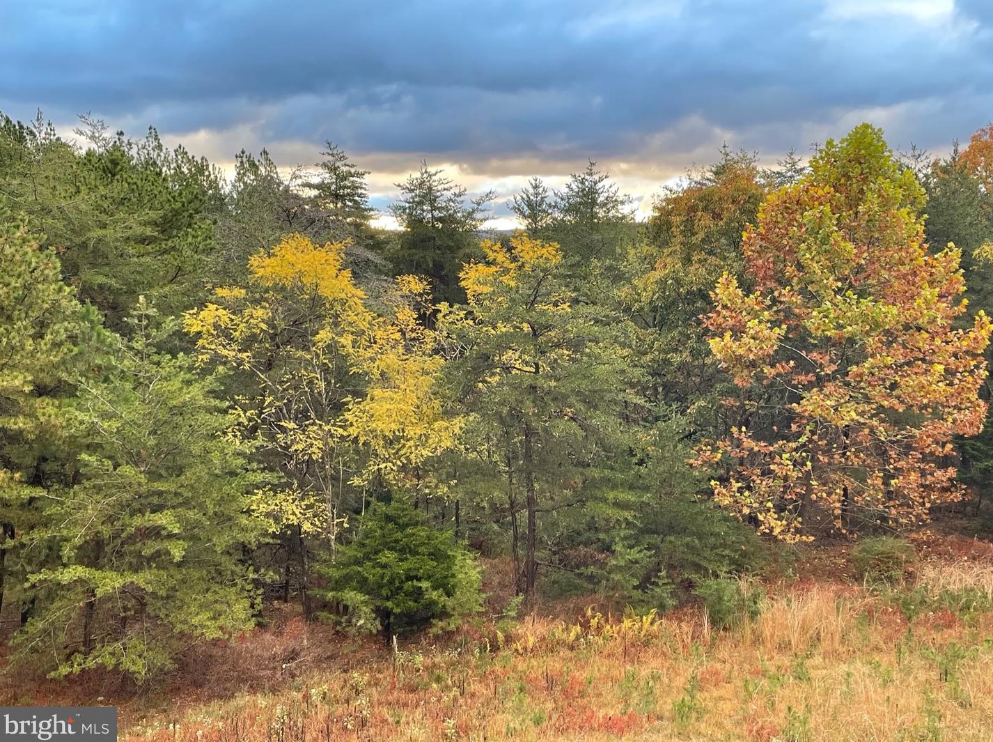 1002 Butternut Dr, Yellow Spring WV  26865-9042 exterior